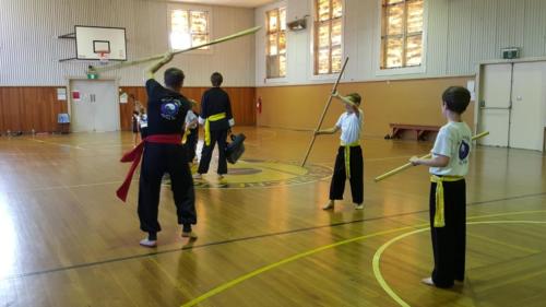 Kung Fu Training with Hamish Brown Juniors