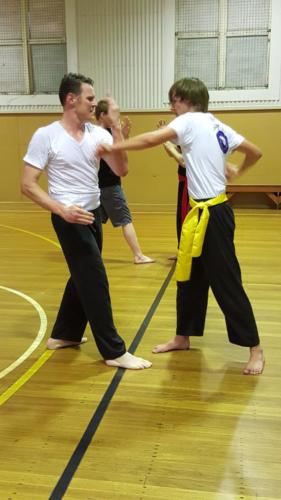 Kung Fu Training with Hamish Brown Seniors