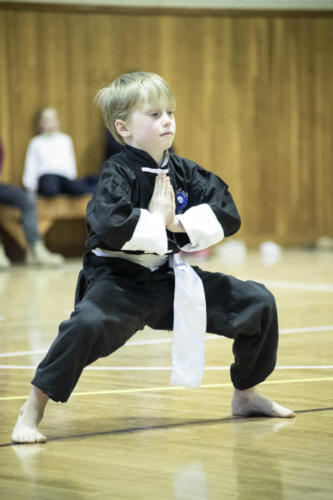 Way of Water Kung Fu Junior Training