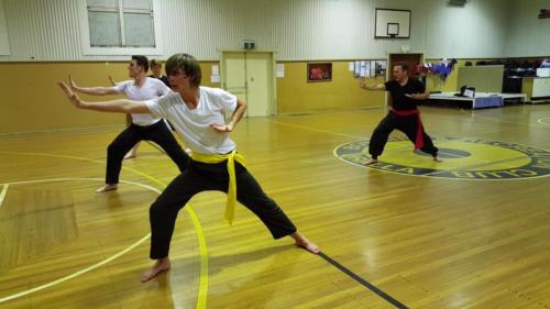 Kung Fu Training with Hamish Brown Seniors
